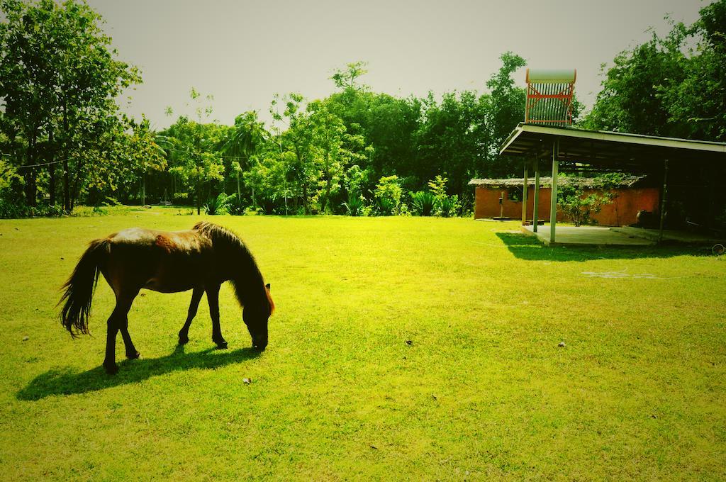 Krsc Thailand Kaeng Krachan Exterior foto